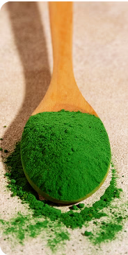 Chlorophylline