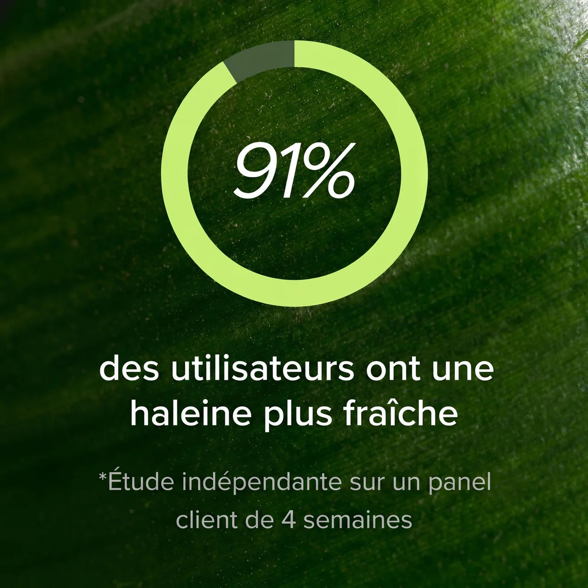 Complément en Gel aux Plantes Anti-Mauvaise Haleine par Orapur™